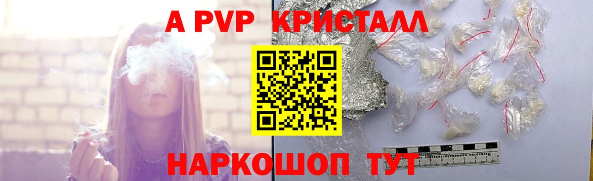 Альфа ПВП СК КРИС Саки