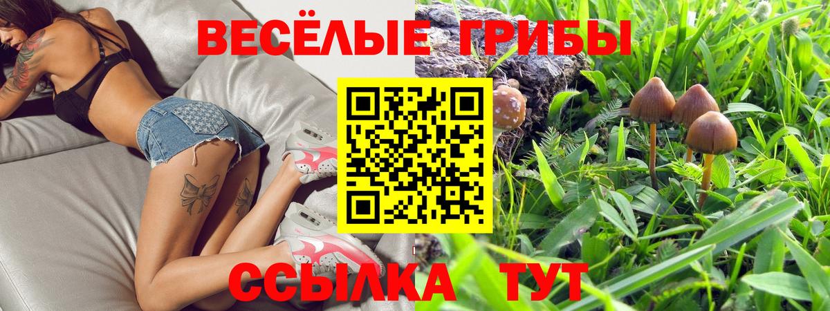 закладка  Псилоцибиновые грибы GOLDEN TEACHER  Вход с VPN  Псилоцибиновые грибы мицелий  Саки 