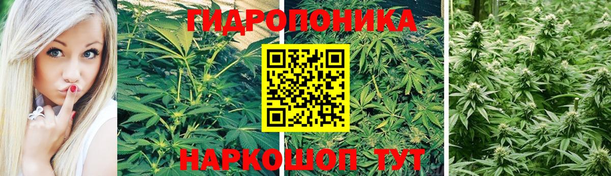 Каннабис Саки